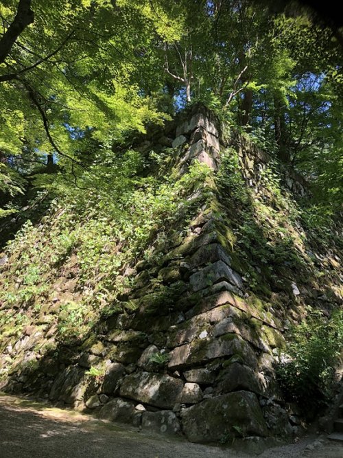 亀山城の石垣