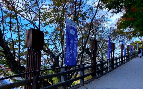 福知山城の登城道にあった桔梗紋の旗